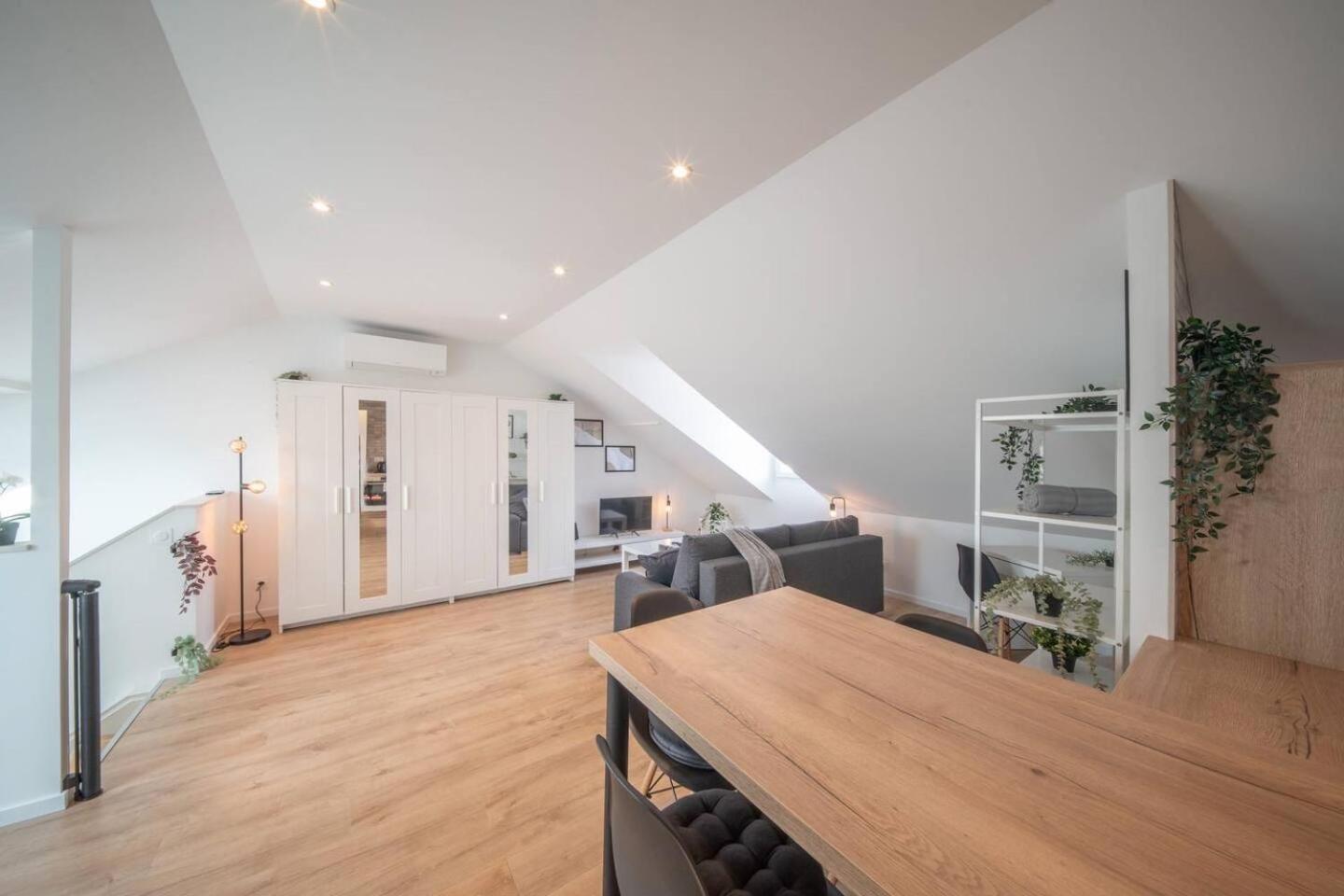 Superbe Appartement Climatise Parking Free Special Eurovision Mulhouse Dış mekan fotoğraf